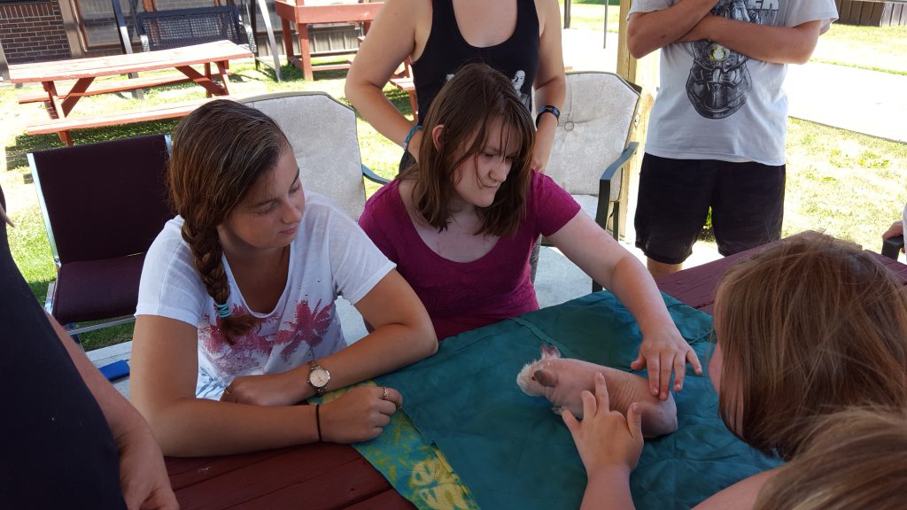 Community Living & Respite Northumberland